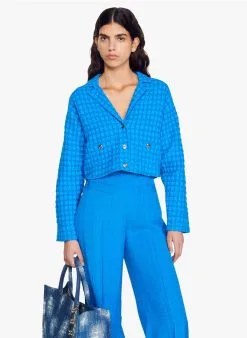 Sandro ASTIER - Kort Tweedjasje Met Reverskraag | Blauw